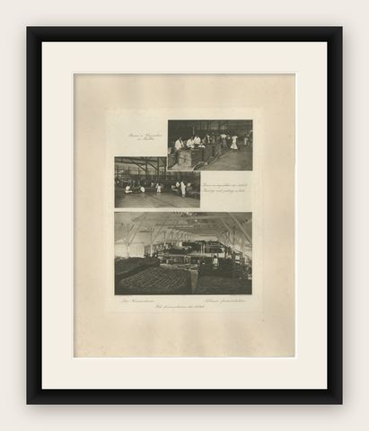 Tobacco Fermentation & Packing, Deli, Sumatra, Kleingrothe, c.1900, shown framed