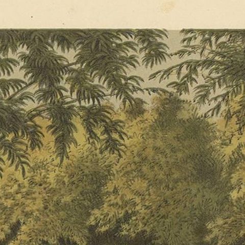 Antique Print of a Cemetery in Buitenzorg by M.T.H. Perelaer, 1888, close-up 1