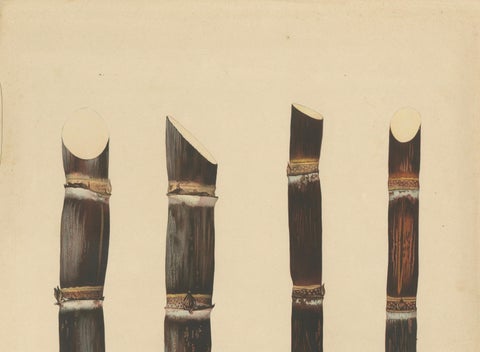 Antique Sugarcane Chromolithograph, Teboe Monjet and Teboe Rapooh Kiang, 1892, close-up 4