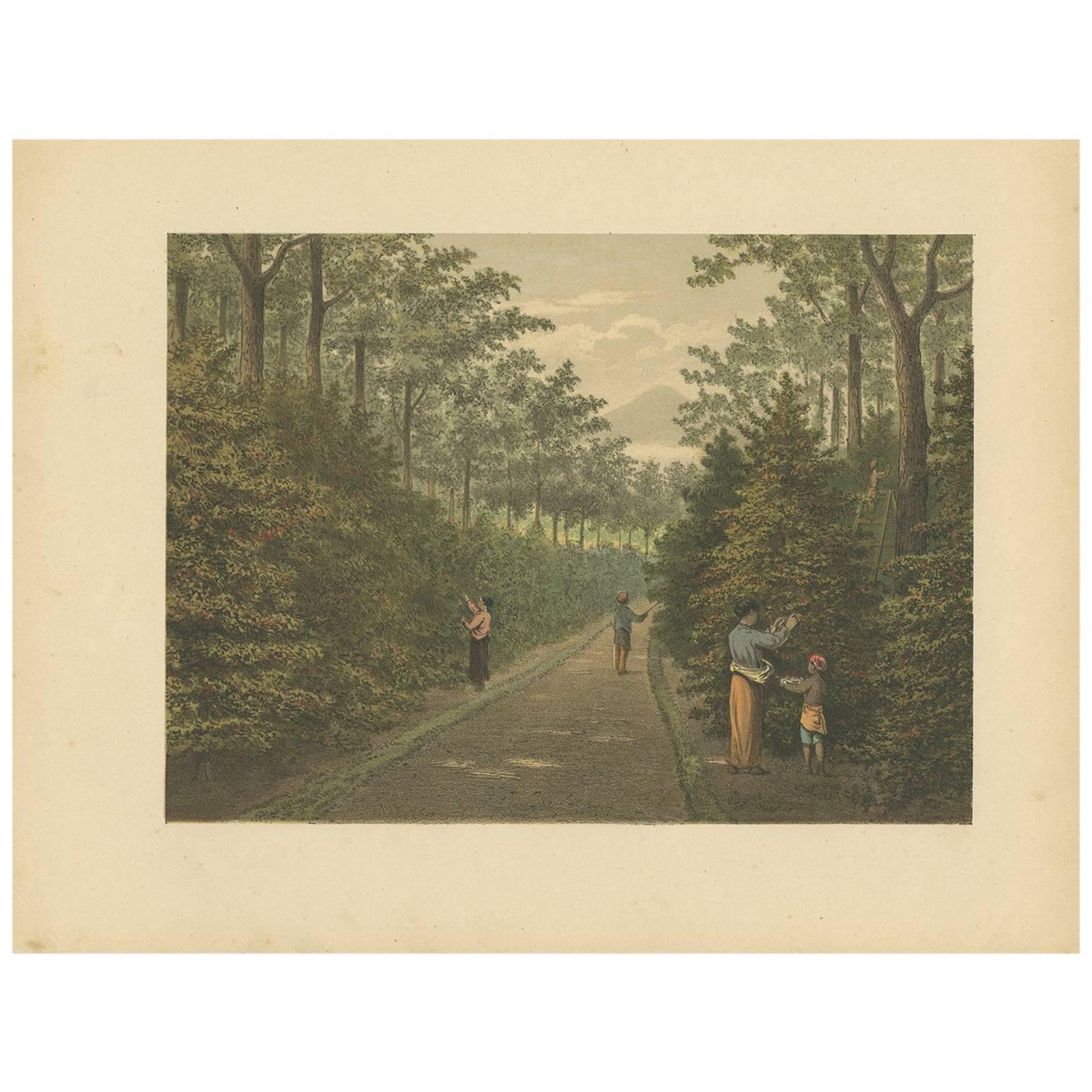 Antique Print of Fruit Farming on Java by M.T.H. Perelaer, 1888