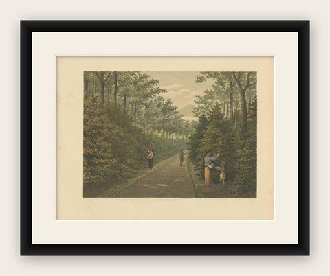 Antique Print of Fruit Farming on Java by M.T.H. Perelaer, 1888, shown framed