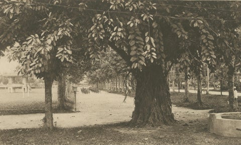 Sultan of Deli Palace and Esplanade, Medan, Sumatra, Dutch East Indies, c1910, close-up 1