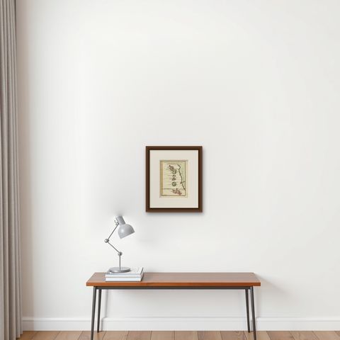 Antique Map of the Maluku Islands by Bellin, c.1750, shown framed on a wall, true to size
