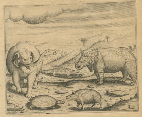 De Bry’s India and East Indies, Cockfights, Sacred Trees & Exotic Animals, 1598, close-up 3