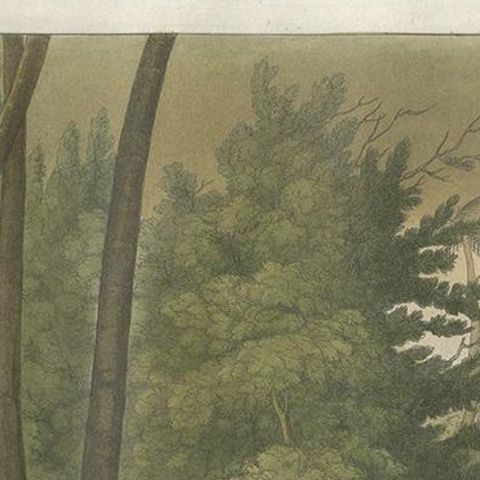 Antique Print of Papuan Tombs on Rawak Island by Ferrario, '1831', close-up 1