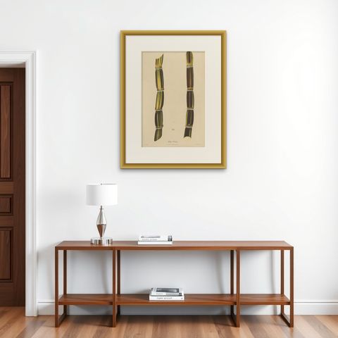 Antique Sugarcane Chromolithograph, Teboe Gedang, Java 1892, shown framed on a wall, true to size