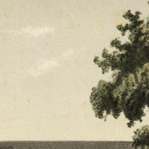 Antique Print of Hotel Du Pavillon, Java, Indonesia, 1888, close-up 2