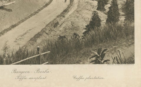 Set of 3 Antique Photogravures of Sumatra Plantations, Deli, Medan Region, 1900, close-up 1