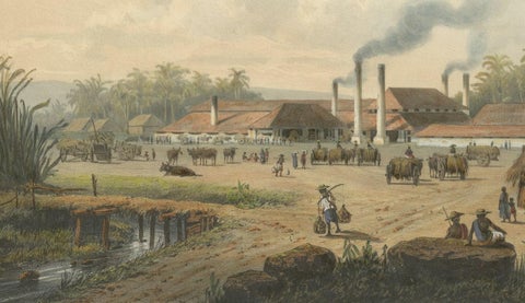 Original Chromolithograph of a Sugar Factory in Java, Indonesia, 1872, close-up 3
