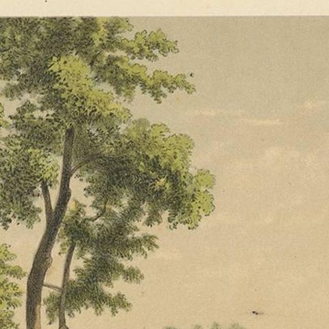 Antique Print of a Colonial Residence in Batavia by M.T.H. Perelaer, 1888, close-up 1
