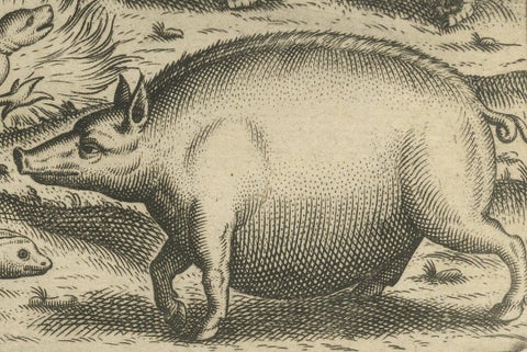 Rare Creatures of the East: A 1601 de Bry Copper Engraving from the Indies, close-up 3