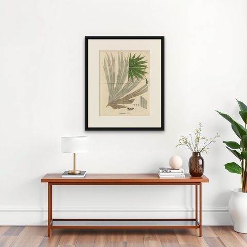 Large, Uniquely Handcolored Lithograph of Ferns of Indonesia 'Polypodium', 1829, shown framed on a wall, true to size