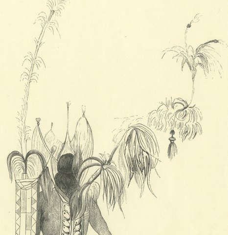 Warrior of the Island of Solor, Antique Wahlen Costume Print, 1843-1844, close-up 1