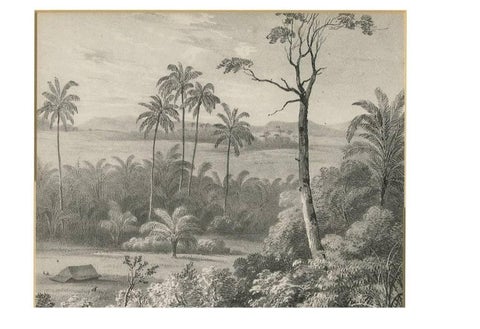 Antique Print of a waterfall near Tondano (Indonesia) by C.W.M. van de Velde, view 4