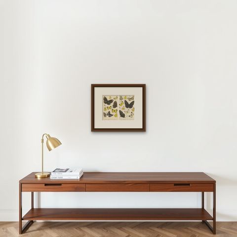 Antique Butterfly Prints (Set of 2), Sumatra Lepidoptera c.1887, shown framed on a wall, true to size