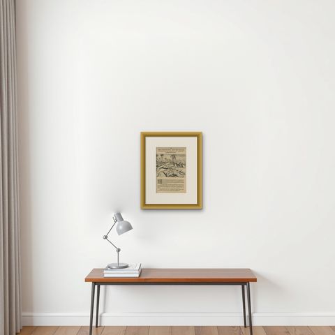 Aromatic Treasures of the Indies: The Enchanting Scents of De Bry’s Collection, shown framed on a wall, true to size