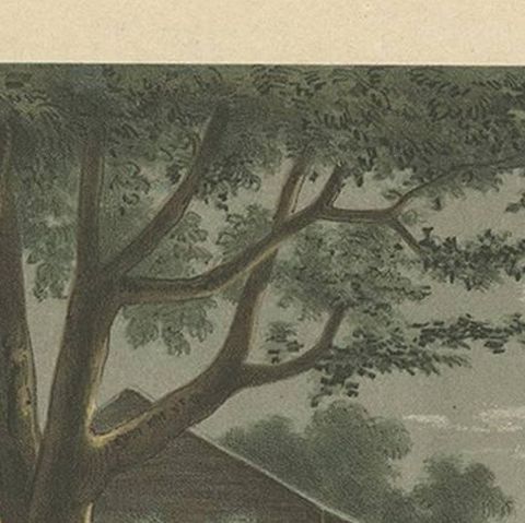 Antique Print of a Native Playing the Flute in Batavia by M.T.H. Perelaer, 1888, close-up 1