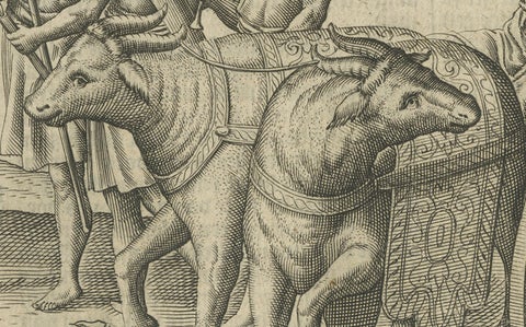 Earliest Depiction of Bali, Dutch Engraving of the King of Bali, c.1601, close-up 3