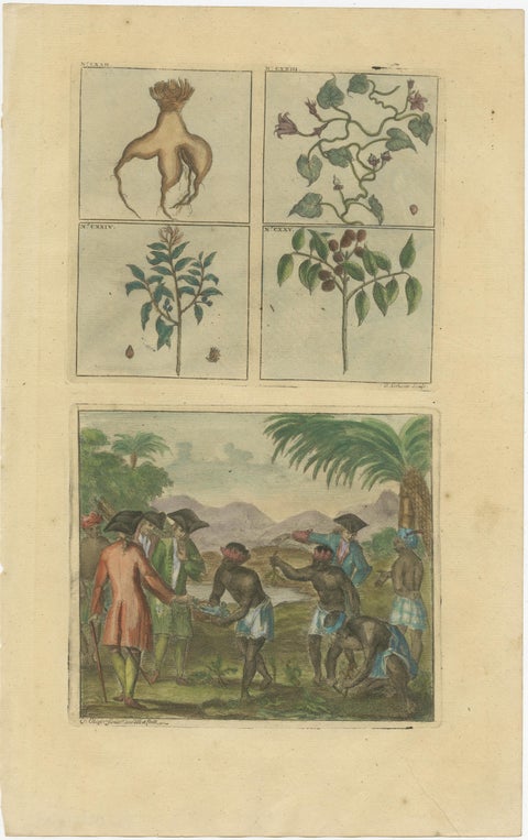 Colored Antique Print of Plants, Trees and Indonesian Natives with VOC Men, 1726, view 2