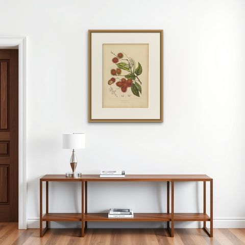 Original Antique Rambutan Botanical Chromolithograph by Hoola van Nooten, c.1880, shown framed on a wall, true to size