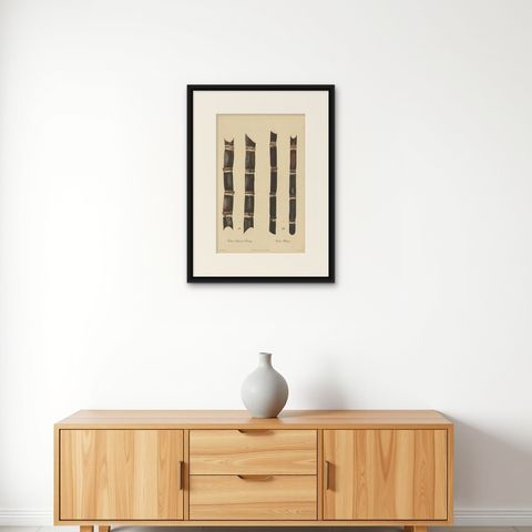 Antique Sugarcane Chromolithograph, Teboe Monjet and Teboe Rapooh Kiang, 1892, shown framed on a wall, true to size