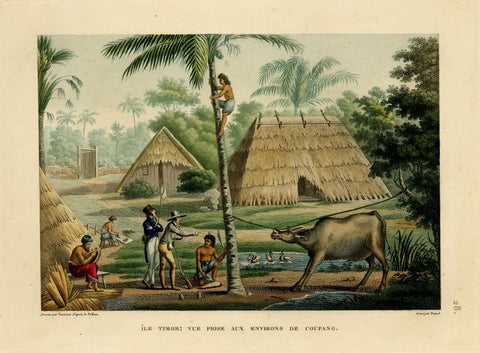 Old Print of French Travellers Visiting a Village in Kupang, Timor, 1825, view 2