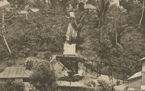Coffee Establishment Girsahan & Sorting Coffee, Antique Photos Sumatra, c.1900, close-up 3