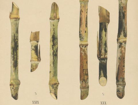 Antique Sugarcane Chromolithograph Pair, Teboe Tjio Hongkong & Saroer, 1892, close-up 2
