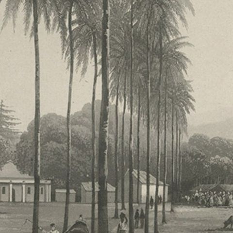 Rare Chine-collé Aquatint of Banyuwangi, East Java, Indonesia, 1835, close-up 3