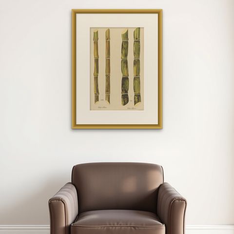 Antique Sugarcane Chromolithograph, Teboe Rotan and Teboe Alfoere, 1892, shown framed on a wall, true to size