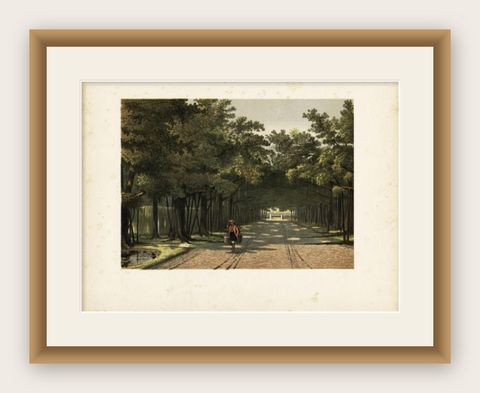Antique Print of the Royal Arboretum in Batavia by Perelaer, 1888, shown framed