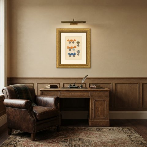 Dutch Medals, War in Java and Citadel of Antwerp, Plate LIV, 1844, shown framed in a room, true to size