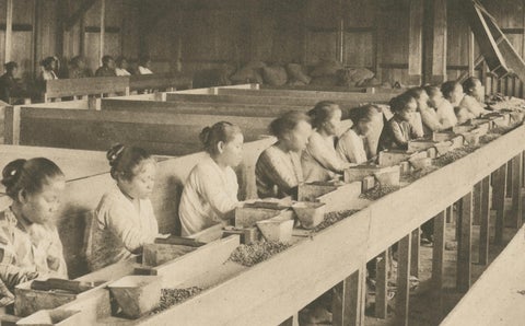 Coffee Establishment Girsahan & Sorting Coffee, Antique Photos Sumatra, c.1900, close-up 1