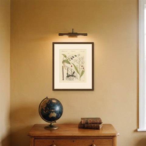 Cassia Cinnamon and Galangal Spices, Antique Bertuch Print, circa 1805, shown framed on a wall, true to size