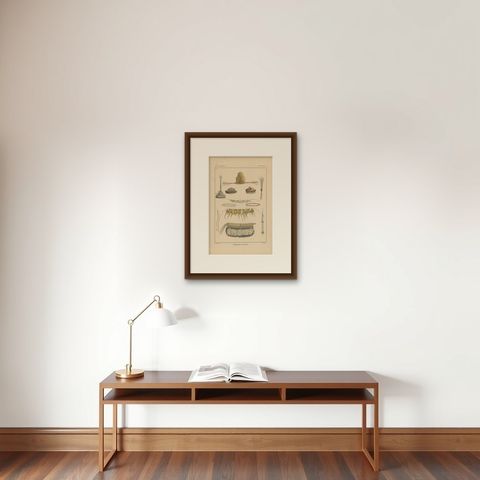 Print with Papua Decoration 'New Guinea, Indonesia' by Temminck, circa 1840, shown framed on a wall, true to size
