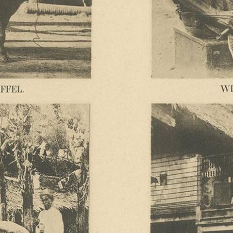 Twelve Prints of Aceh 'Atjeh' Published by E.J. Brill, '1895', close-up 2