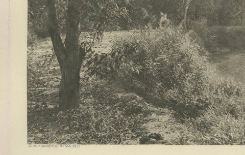 Canal at Loeboe Dalam, Sumatra, C J Kleingrothe, Dutch East Indies c1910, close-up 2