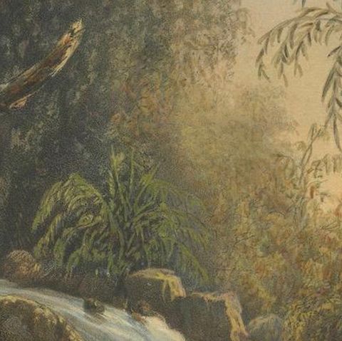 Wild Landscape with Waterfall and Jungle Life, Java Lithograph, Published 1872, close-up 4