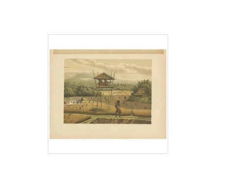 Antique Print of a Rice Field near Tempoeran by M.T.H. Perelaer, 1888, view 4