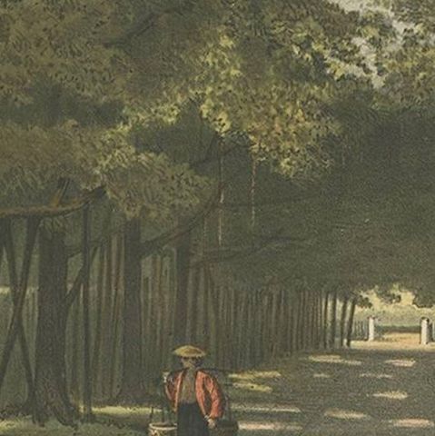 Antique Print of the Royal Arboretum in Batavia by M.T.H. Perelaer, 1888, close-up 2