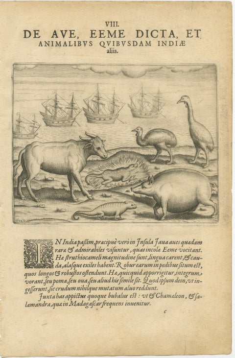 De Bry’s India and East Indies, Cockfights, Sacred Trees & Exotic Animals, 1598, view 5
