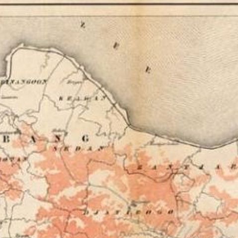 Antique Map of the Djati 'teak wood' Forest Near Rembang, Java by Stemler, 1875, close-up 1