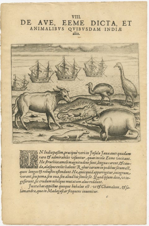 Rare Creatures of the East: A 1601 de Bry Copper Engraving from the Indies, view 2