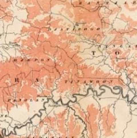Antique Map of the Djati 'teak wood' Forest Near Rembang, Java by Stemler, 1875, close-up 2