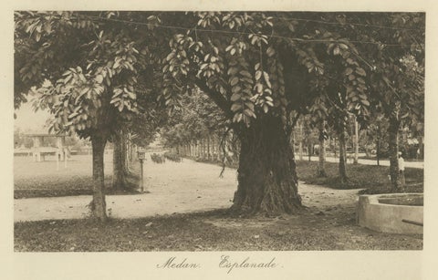 Sultan of Deli Palace and Esplanade, Medan, Sumatra, Dutch East Indies, c1910, close-up 3