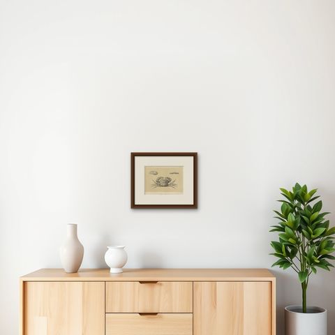 Antique Scientific Print of Lacraud’s Freshwater Crab, Sumatra, 1887, shown framed on a wall, true to size