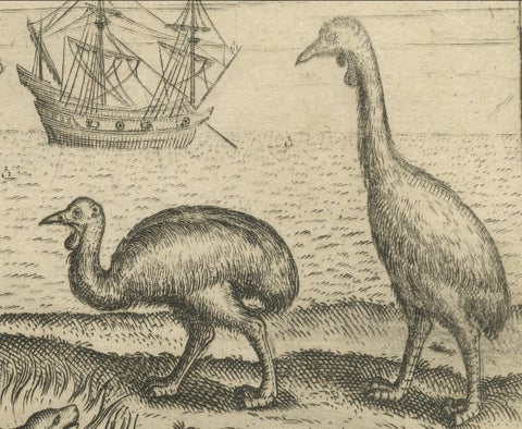 Rare Creatures of the East: A 1601 de Bry Copper Engraving from the Indies, close-up 6