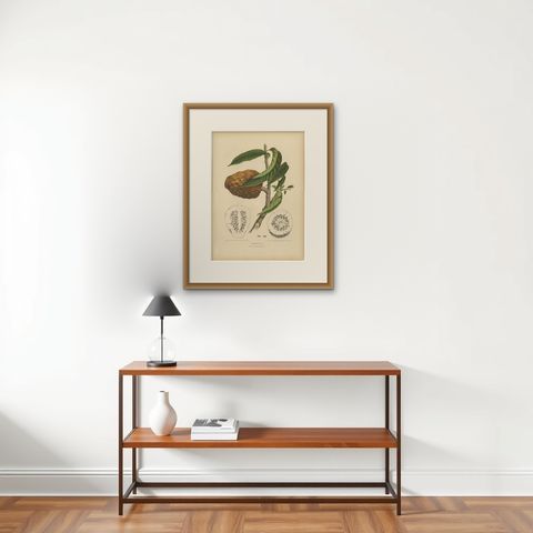 Antique Bullock's Heart Botanical Chromolithograph by Hoola van Nooten, c. 1880, shown framed on a wall, true to size