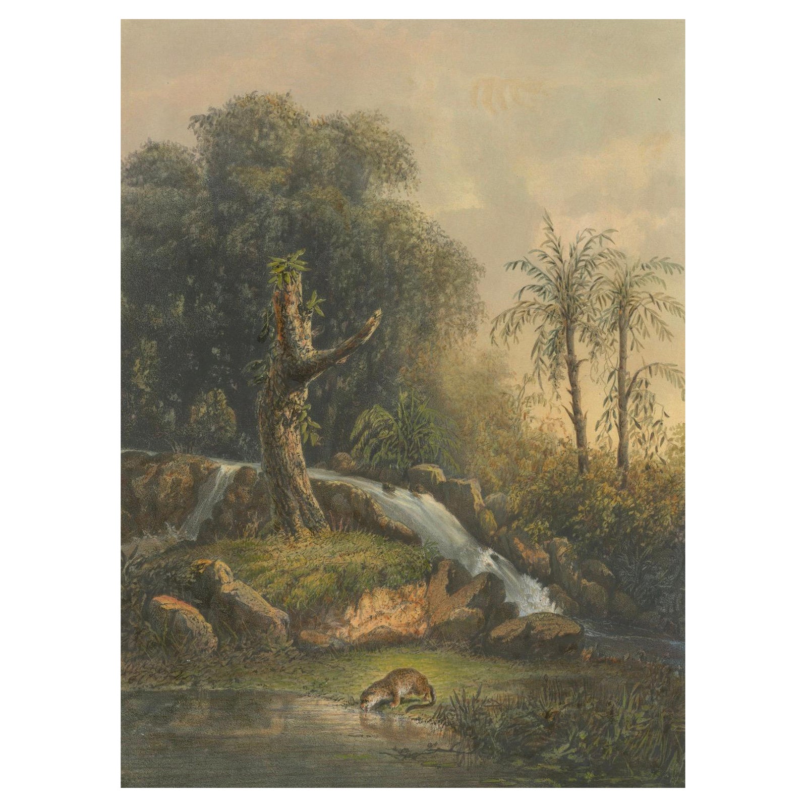 Wild Landscape with Waterfall and Jungle Life, Java Lithograph, Published 1872