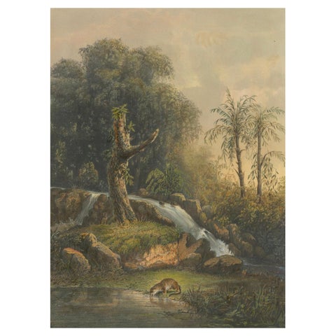 Wild Landscape with Waterfall and Jungle Life, Java Lithograph, Published 1872
